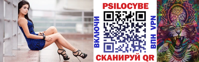 Галлюциногенные грибы Psilocybe  где продают   Конаково 